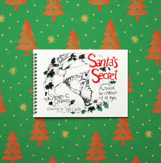 Santa’s Secret Physical Book